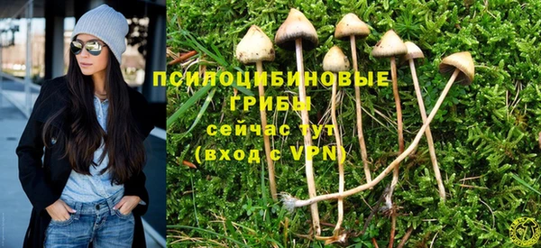 спайс Балабаново
