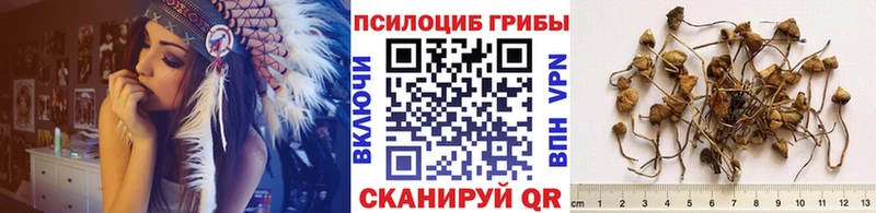 Псилоцибиновые грибы мухоморы  Сегежа 